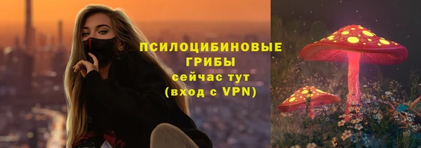 Альфа ПВП Дмитров
