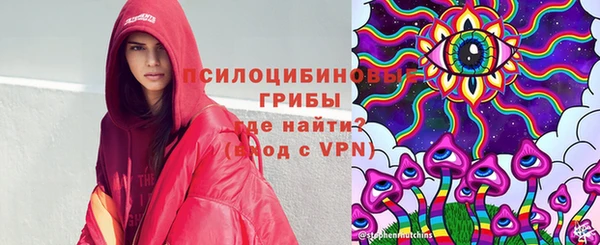 Альфа ПВП Дмитров
